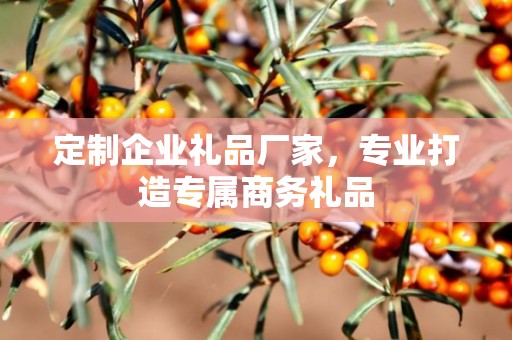 定制企业礼品厂家，专业打造专属商务礼品